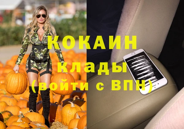 молекула духа Слюдянка