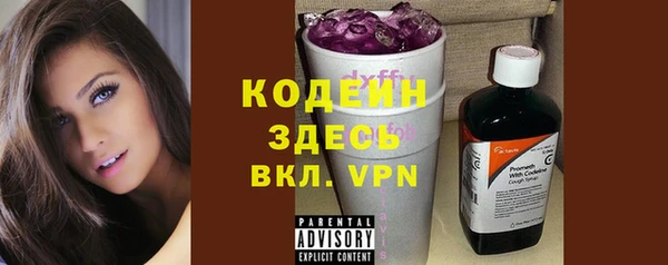 молекула духа Слюдянка